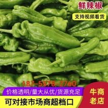 砀山县万亩辣椒产地代发代收各种包装对接全国欢迎来电