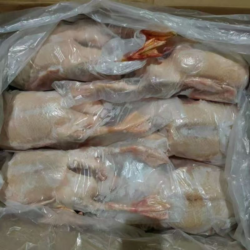 樱桃谷老鸭净膛39斤全净重干货新鲜毛干净