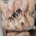 放血大鹌鹑100只/箱白条净膛冷冻毛干净