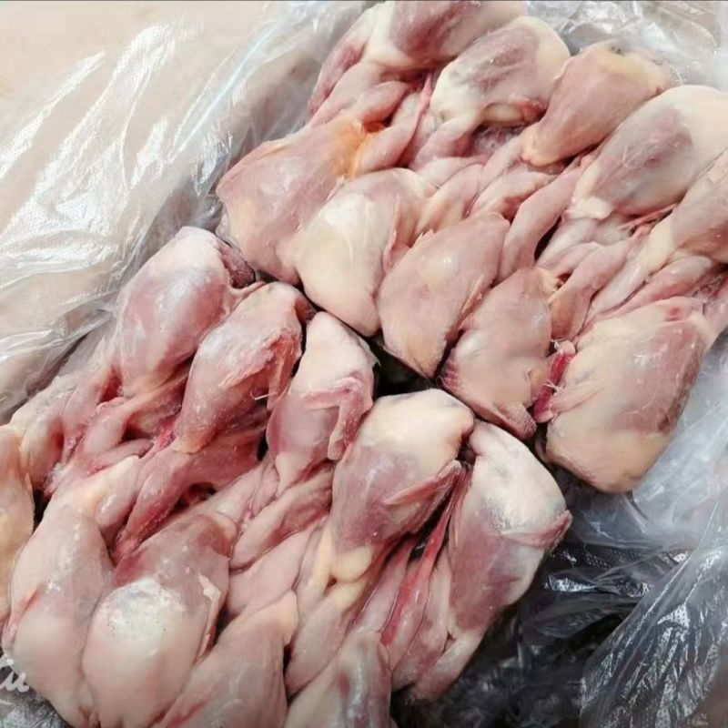 放血大鹌鹑100只/箱白条净膛冷冻毛干净
