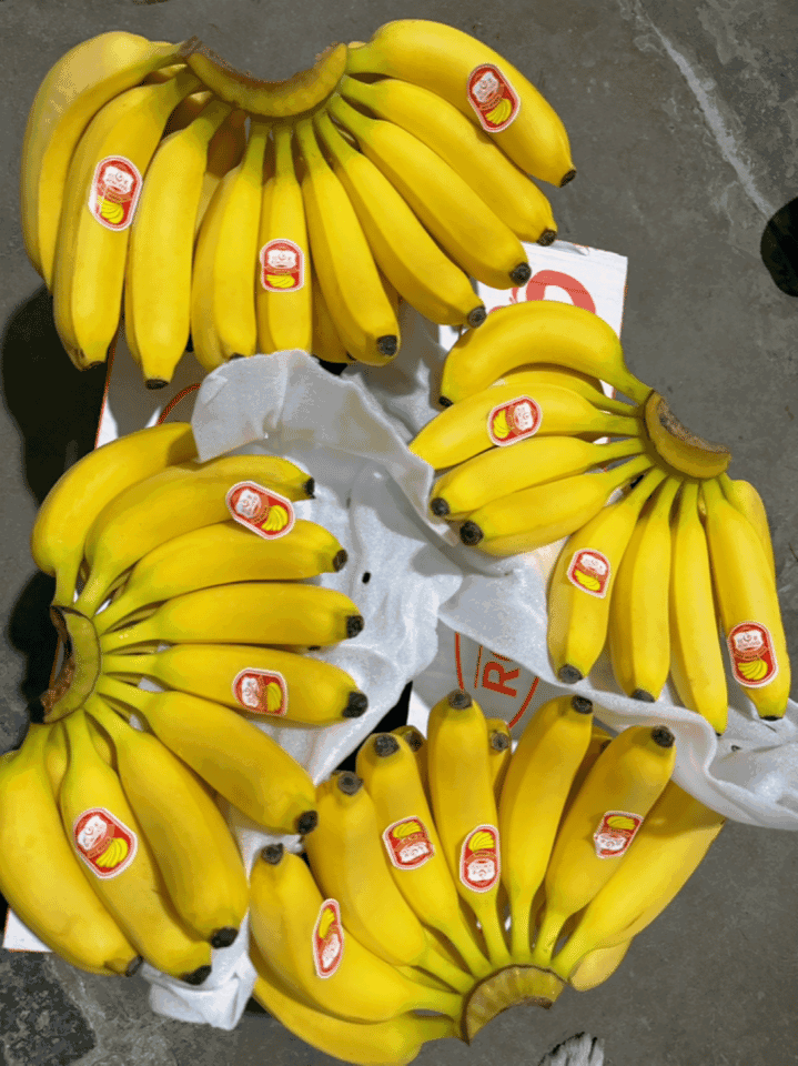 特价进口菲律宾精品香蕉，香甜软糯，保质保量，可发全国。