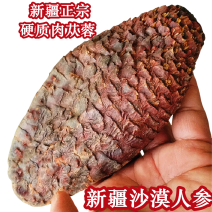 新疆肉苁蓉商用手挑大芸品相美整根硬质短条泡水泡茶原料批发