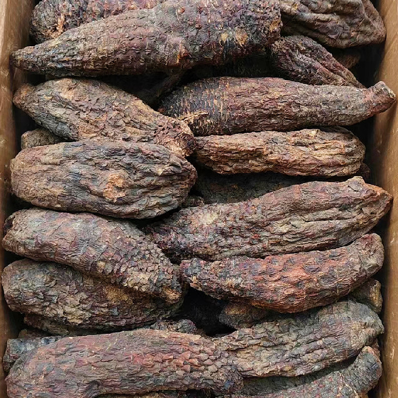 新疆肉苁蓉商用手挑大芸品相美整根硬质短条泡水泡茶原料批发