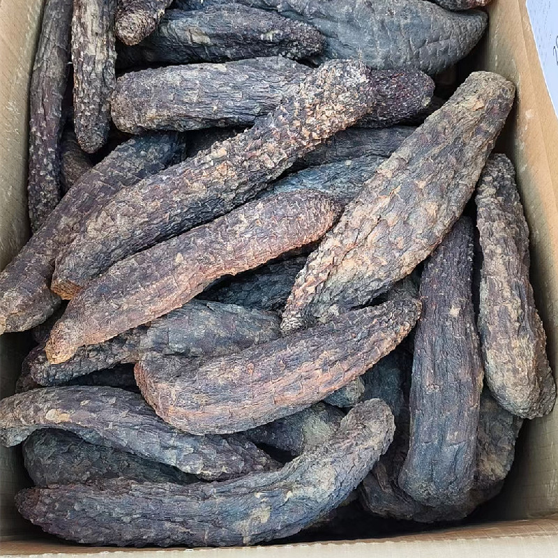 新疆肉苁蓉商用手挑大芸品相美整根硬质短条泡水泡茶原料批发