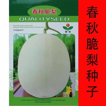 春秋脆梨甜瓜种子果皮洁白果肉纯白色香甜可口糖度高
