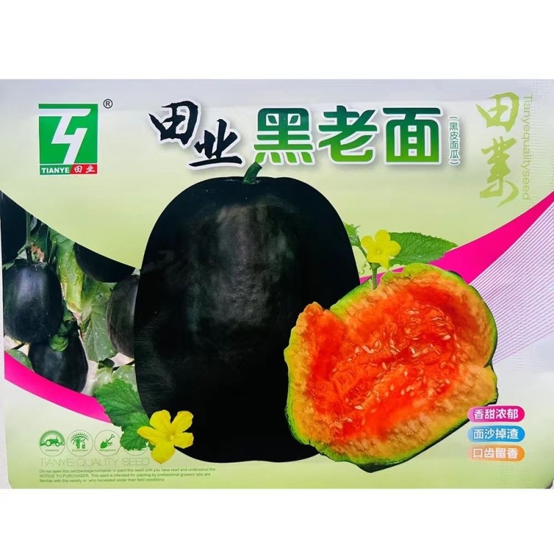 黑老面甜瓜种子黑皮面瓜种子香甜浓郁面沙掉渣口齿留香