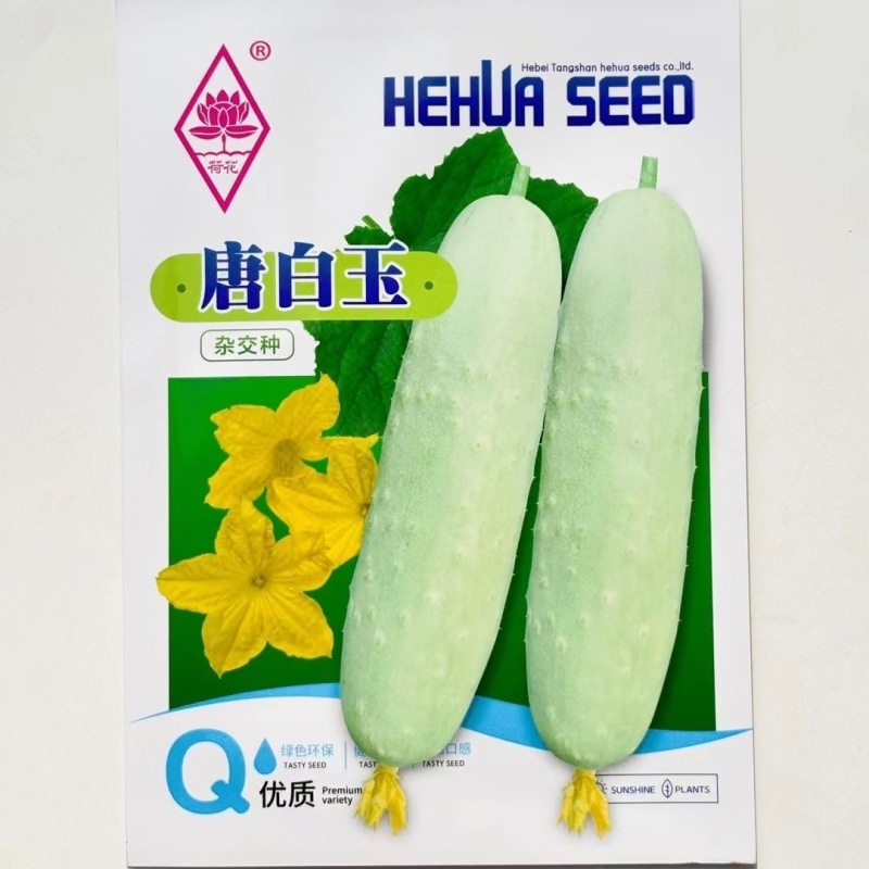 唐白玉黄瓜种子强雌品种瓜把短口感清脆瓜味香浓