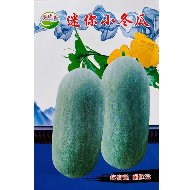 迷你冬瓜种子单瓜3公斤左右肉质紧密耐贮运