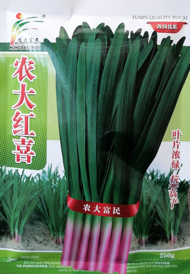 农大红喜根根韭菜种子叶片浓绿抗寒性强春季发棵早