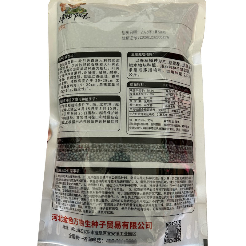 香妃大油叶香菜种子大叶耐热耐抽苔产量高基地品种