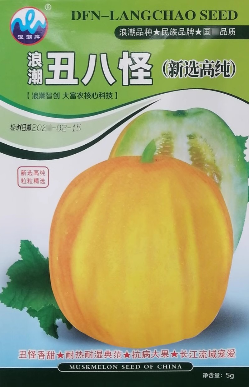 丑八怪甜瓜种子中熟薄皮甜瓜细脆香甜多汁浓香的果糖感