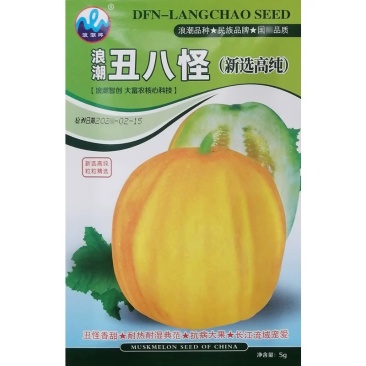 丑八怪甜瓜种子中熟薄皮甜瓜细脆香甜多汁浓香的果糖感