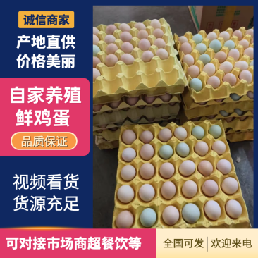常年供应湖北真正散养土鸡蛋破损包赔新鲜发货双色混装