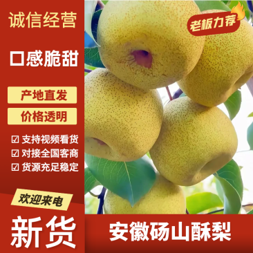 安徽砀山酥梨诚信合作量大从优欢迎客户来电咨询运输便利
