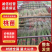 桃苗：油蟠9号，夏辉10号，金梦4号，中油37，