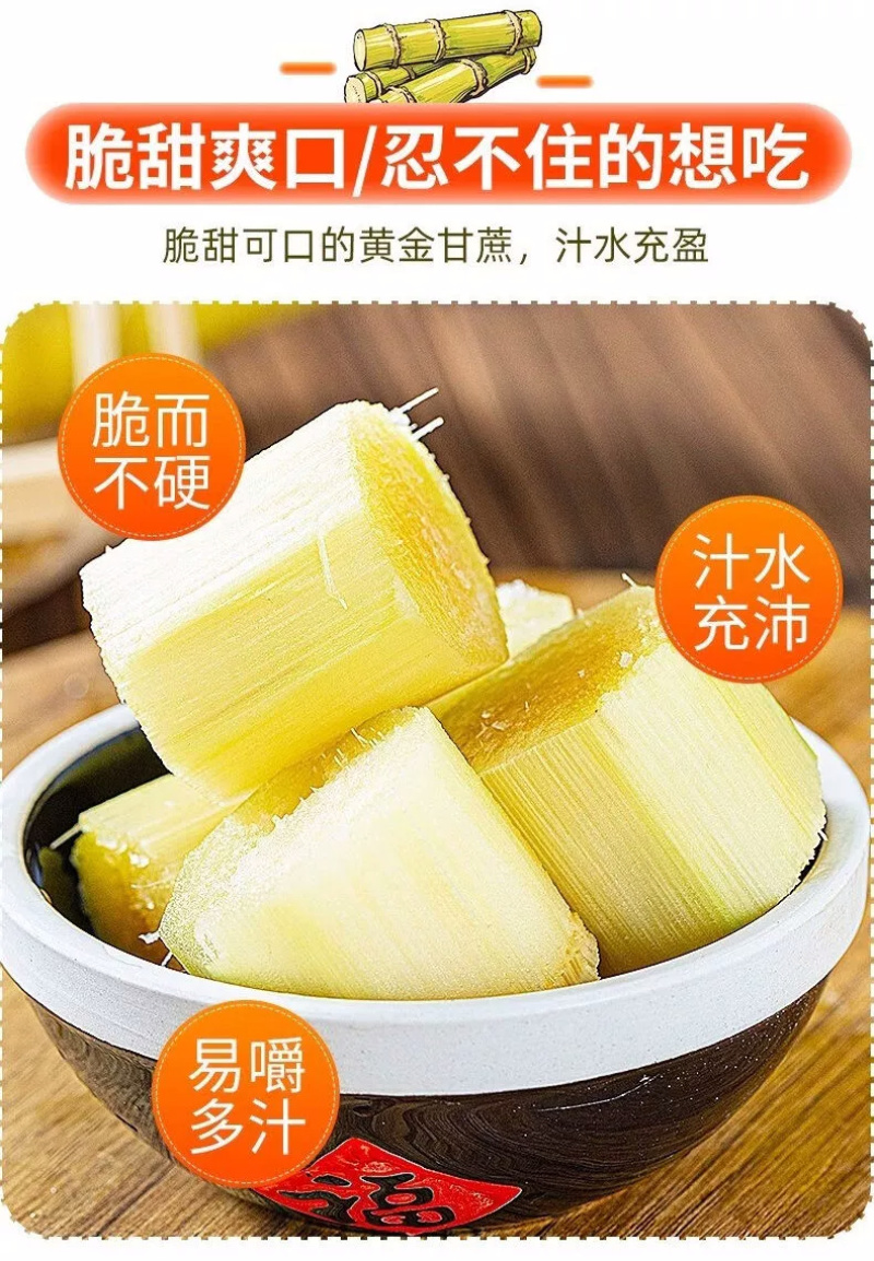 黄金甘蔗一件代发黄皮甘蔗黄色新鲜当季水果『电商供应』