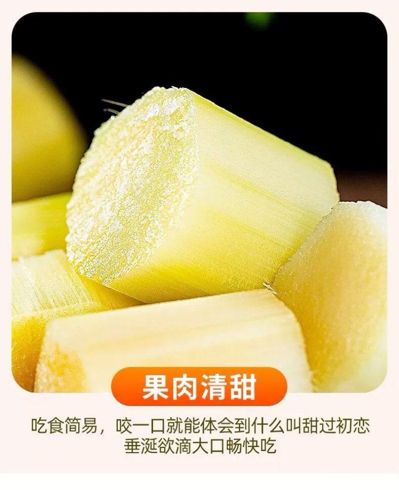 黄金甘蔗一件代发黄皮甘蔗黄色新鲜当季水果『电商供应』