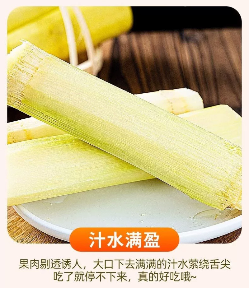黄金甘蔗一件代发黄皮甘蔗黄色新鲜当季水果『电商供应』