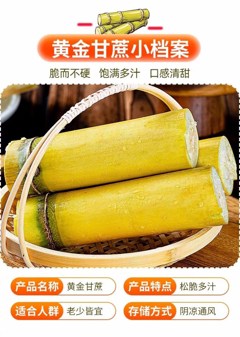 黄金甘蔗一件代发黄皮甘蔗黄色新鲜当季水果『电商供应』