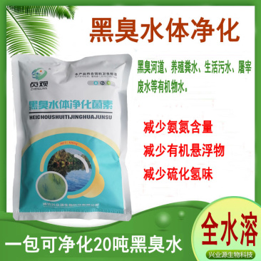 养殖粪水处理河道污水处理高氨氮污水处理猪粪水处理