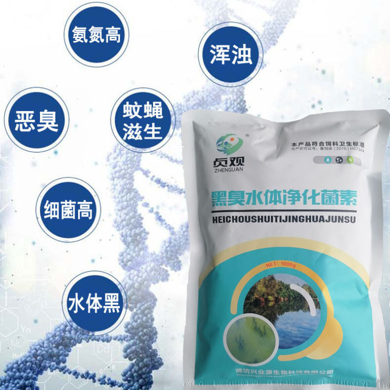 养殖粪水处理河道污水处理高氨氮污水处理猪粪水处理