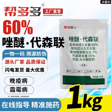 60%唑醚·代森联WG