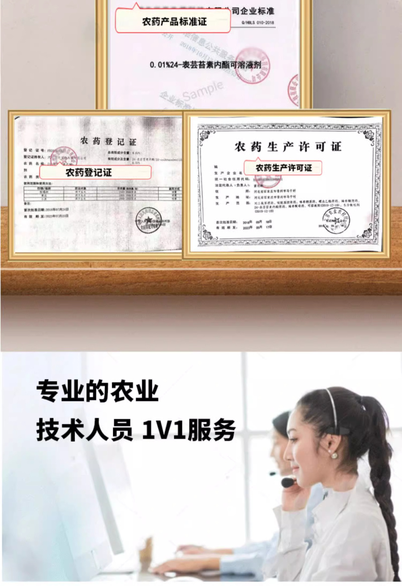 0.01%24-表芸苔素内酯