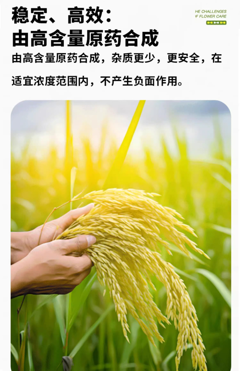 0.01%24-表芸苔素内酯