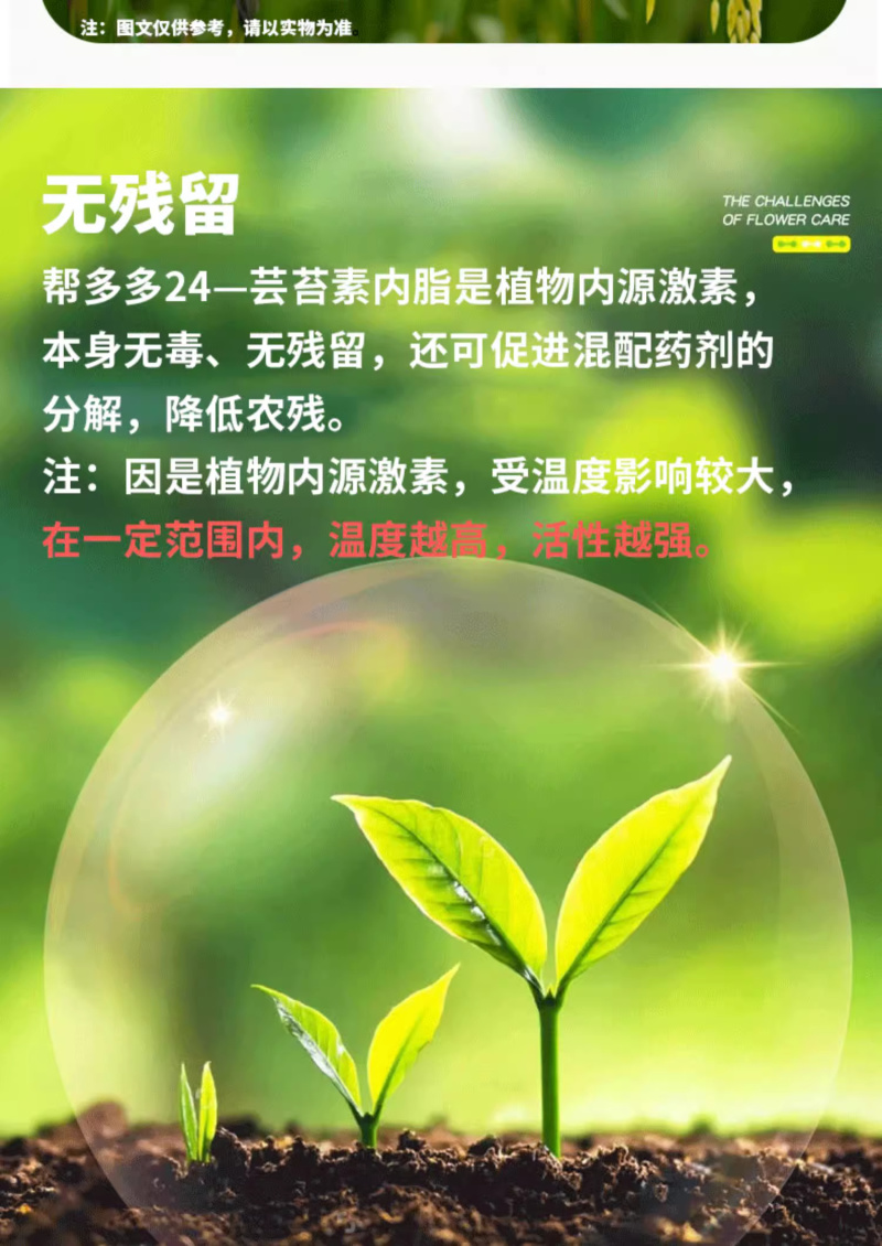 0.01%24-表芸苔素内酯