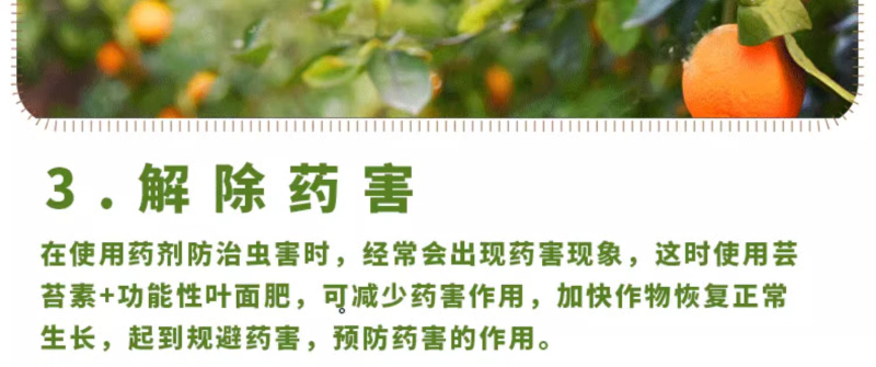 0.01%24-表芸苔素内酯