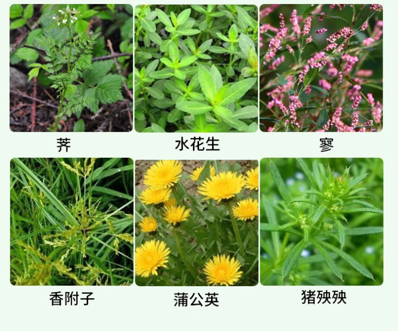 200克/升草铵膦，保证正品甩货价