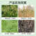 10%精草铵膦铵盐，安全高效的除草剂