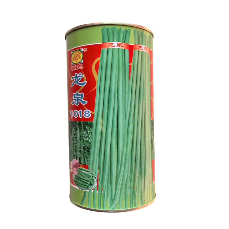 龙泉1018长豆角种子早熟高产耐低温耐抽薹高产豇豆种子