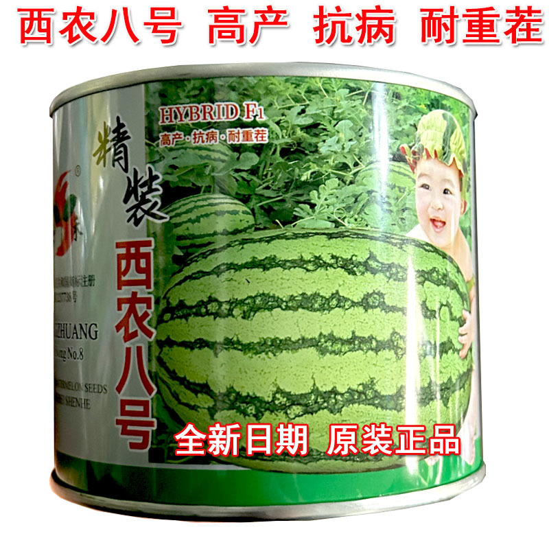 精装西农八号西瓜种子懒汉耐重茬大果抗病花绿皮基地种
