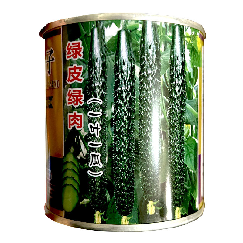 油亮王子三叶结瓜杂交绿皮绿肉一叶一瓜春秋露地栽培