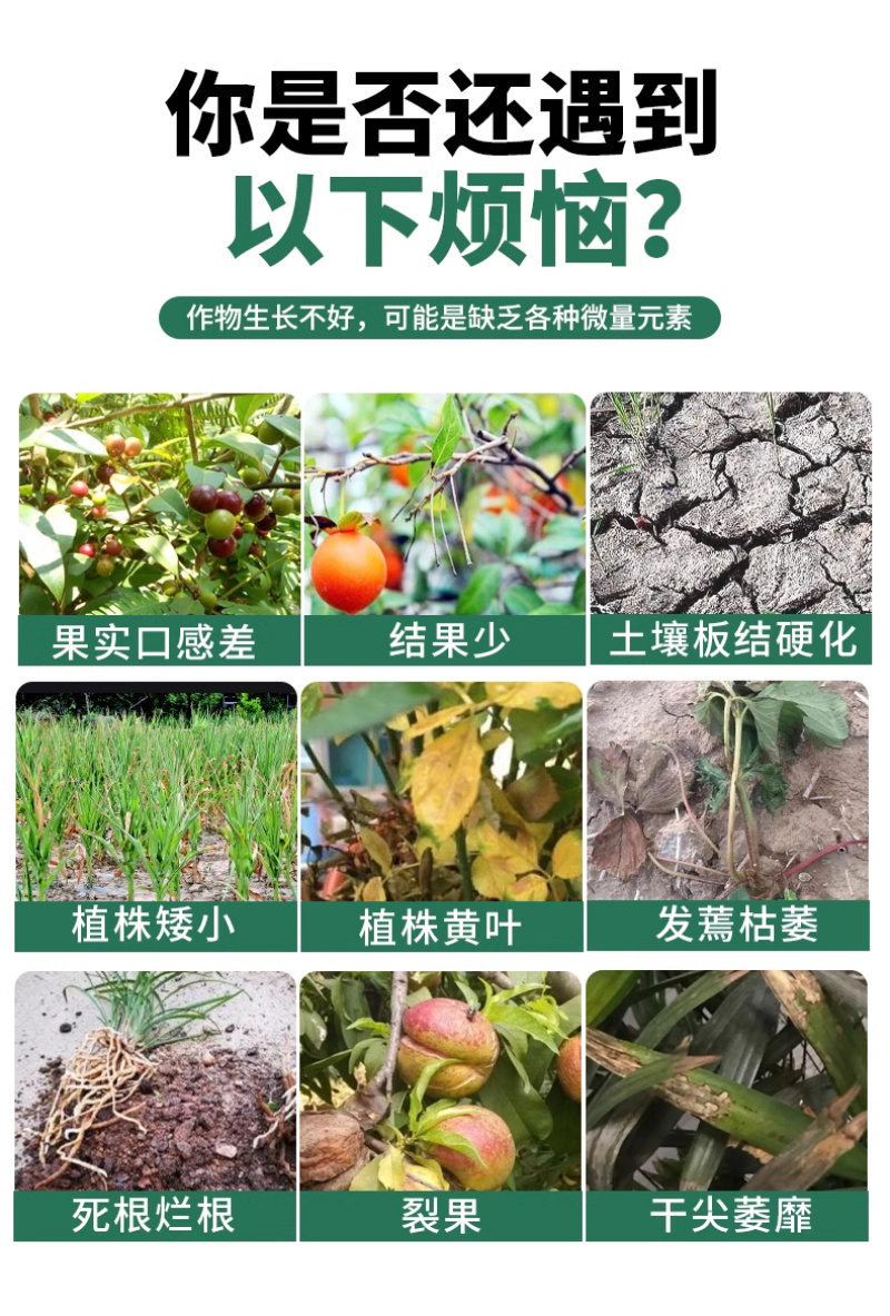 帮多多大量元素水溶肥高磷高钾高氮液体肥料平衡冲施肥通用叶