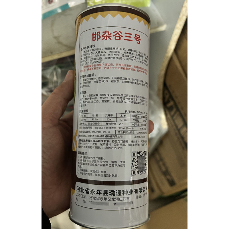 邯杂谷三号种子小米种籽金色黄色香糯早熟防麻雀粟米黄谷鸟