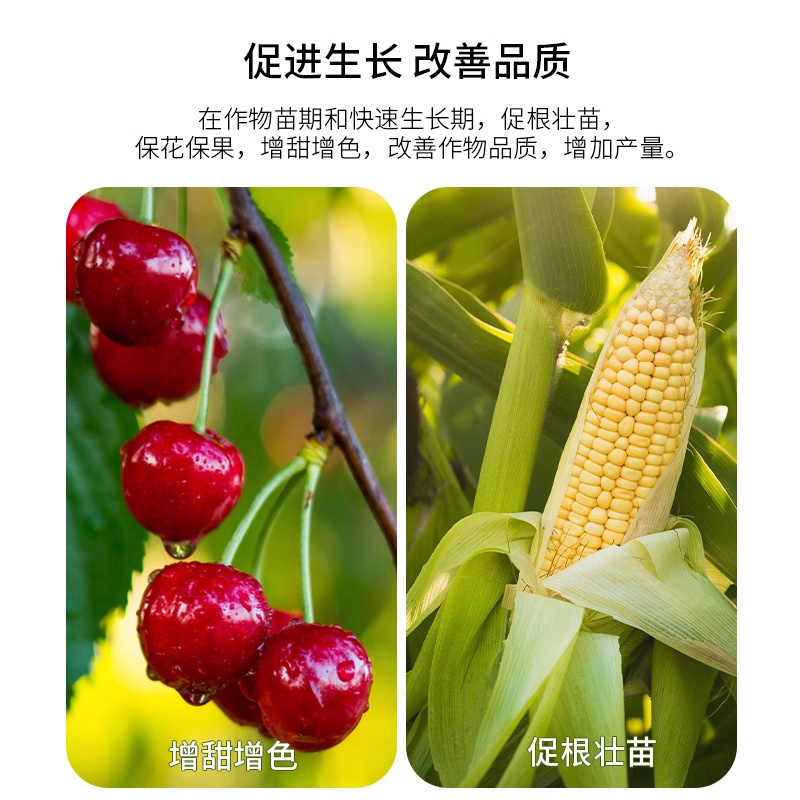 帮多多含氨基酸水溶肥植物果树蔬菜花卉增叶面肥抗逆冲施液体