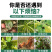 帮多多含氨基酸水溶肥植物果树蔬菜花卉增叶面肥抗逆冲施液体