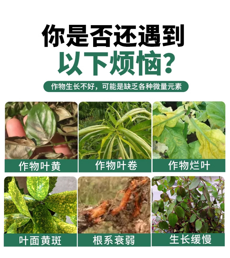 帮多多含氨基酸水溶肥植物果树蔬菜花卉增叶面肥抗逆冲施液体