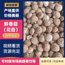 鲜香菇产地直销欢迎老板前来联系