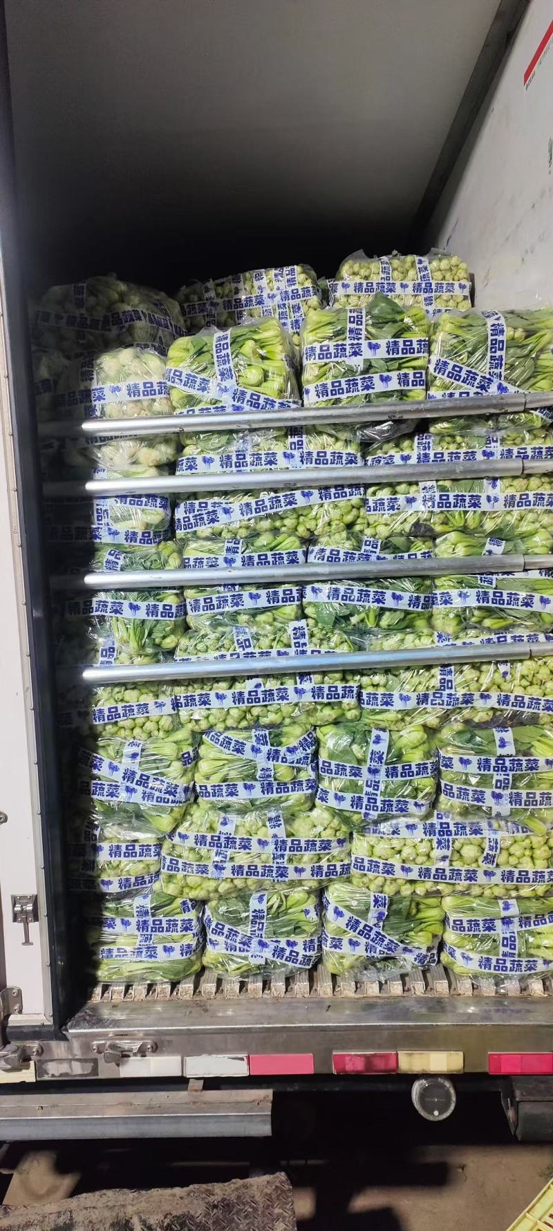 产地一手货源直发精品大棚小颗油菜上海青保证质量