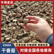 干香菇产地直销欢迎老板咨询