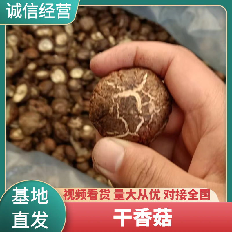 干香菇产地直销欢迎老板咨询