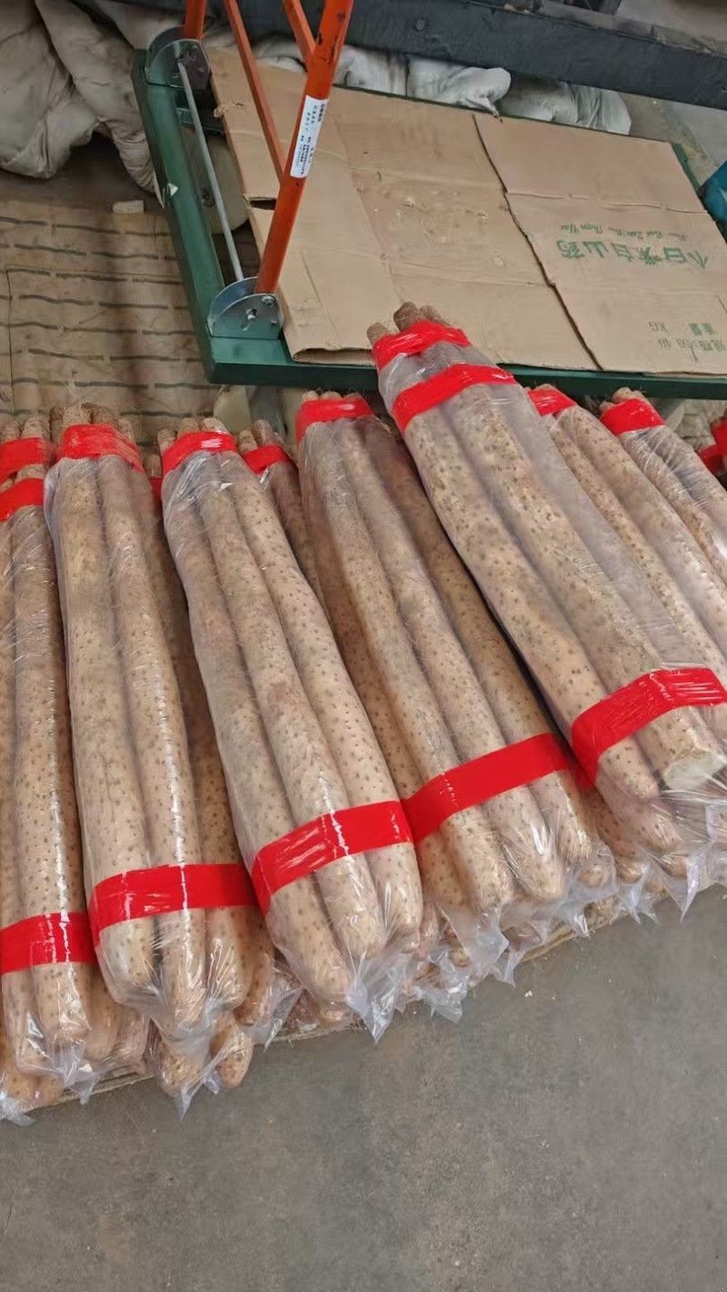 白玉山药承接加工电商社区团购进出口直播带货商超批发市场餐饮