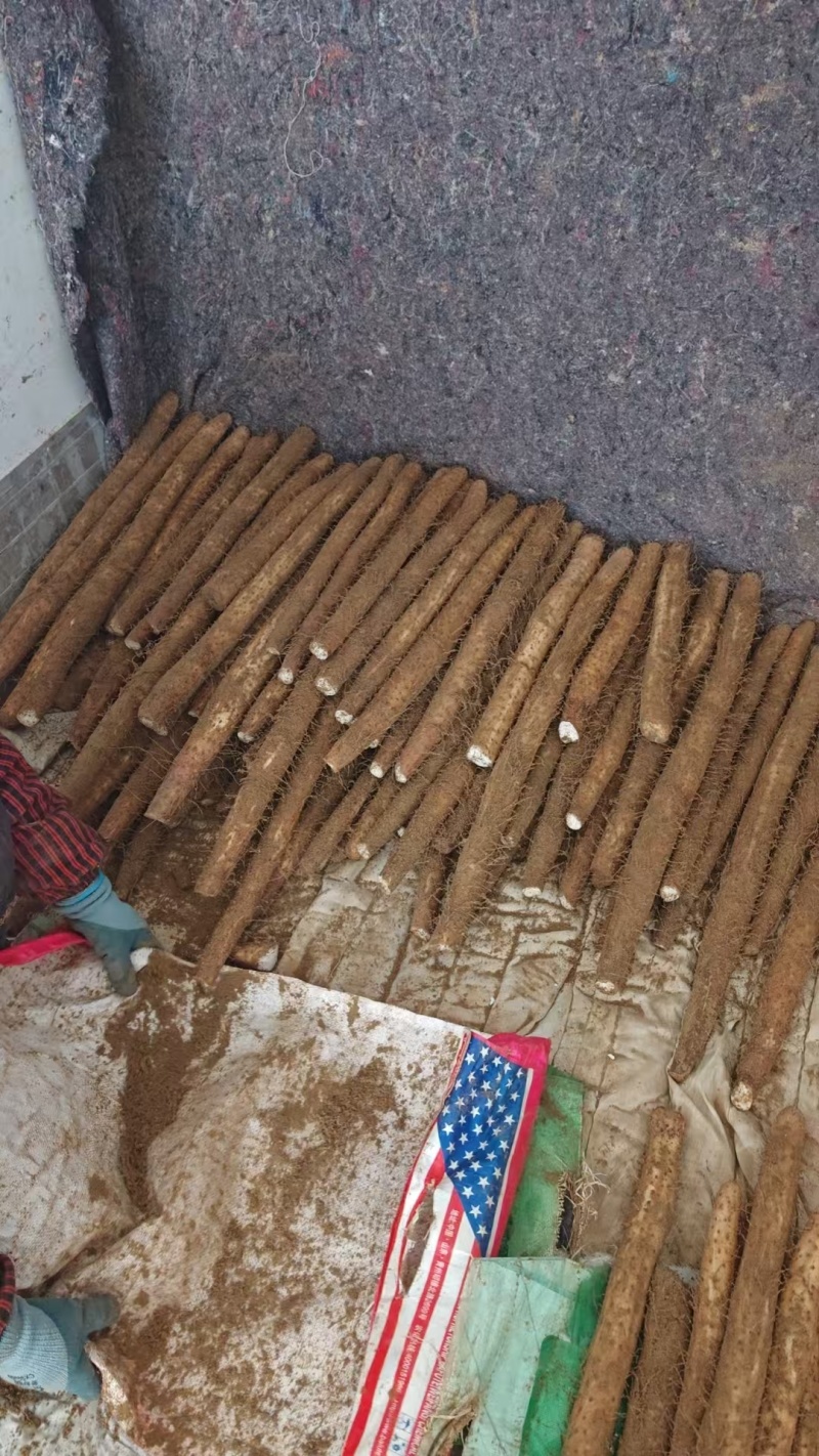 白玉山药承接加工电商社区团购进出口直播带货商超批发市场餐饮