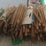 白玉山药承接加工电商社区团购进出口直播带货商超批发市场餐饮