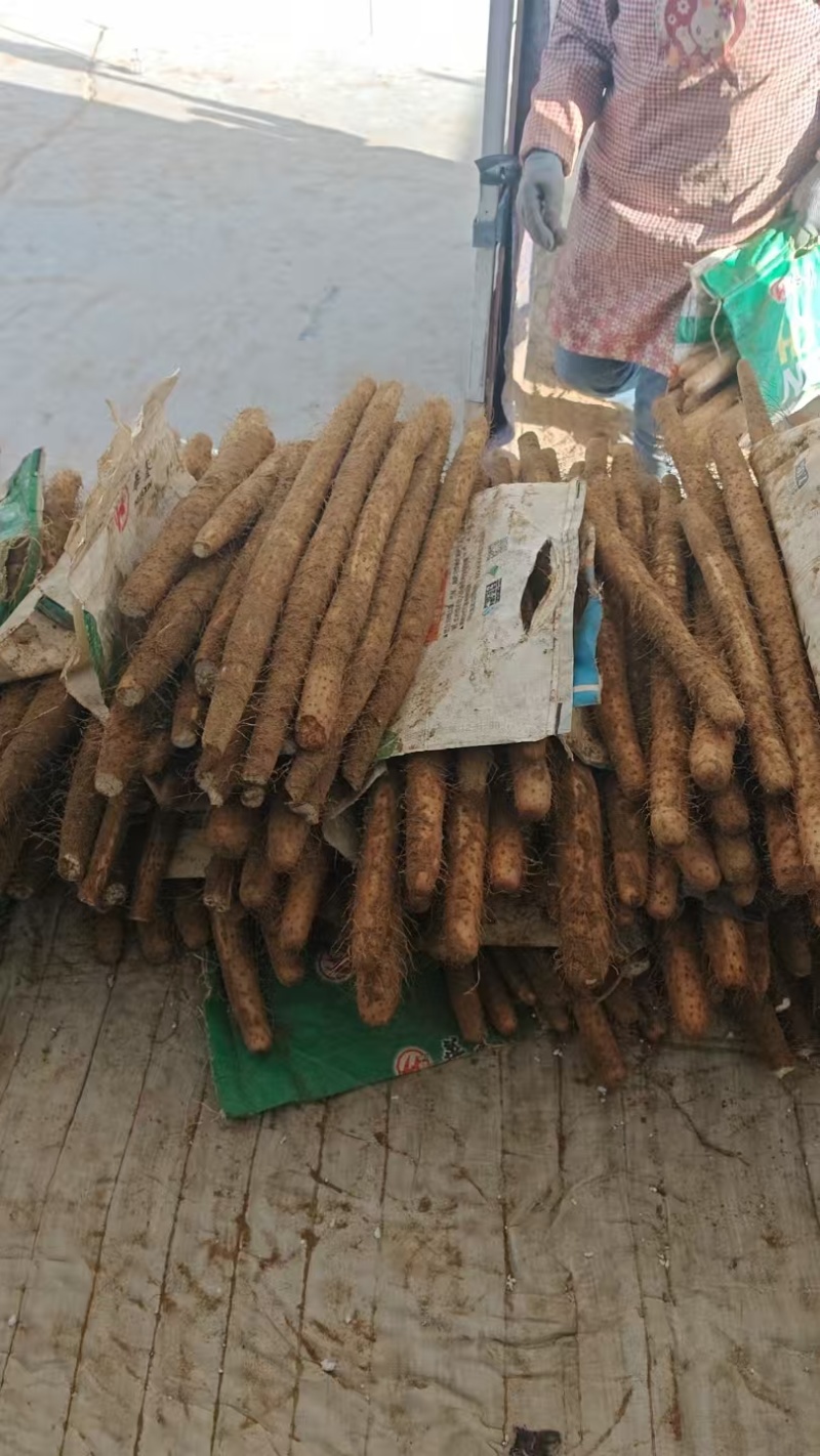 白玉山药承接加工电商社区团购进出口直播带货商超批发市场餐饮