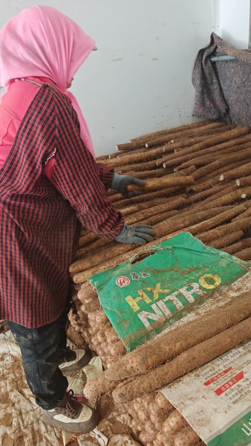 白玉山药承接加工电商社区团购进出口直播带货商超批发市场餐饮