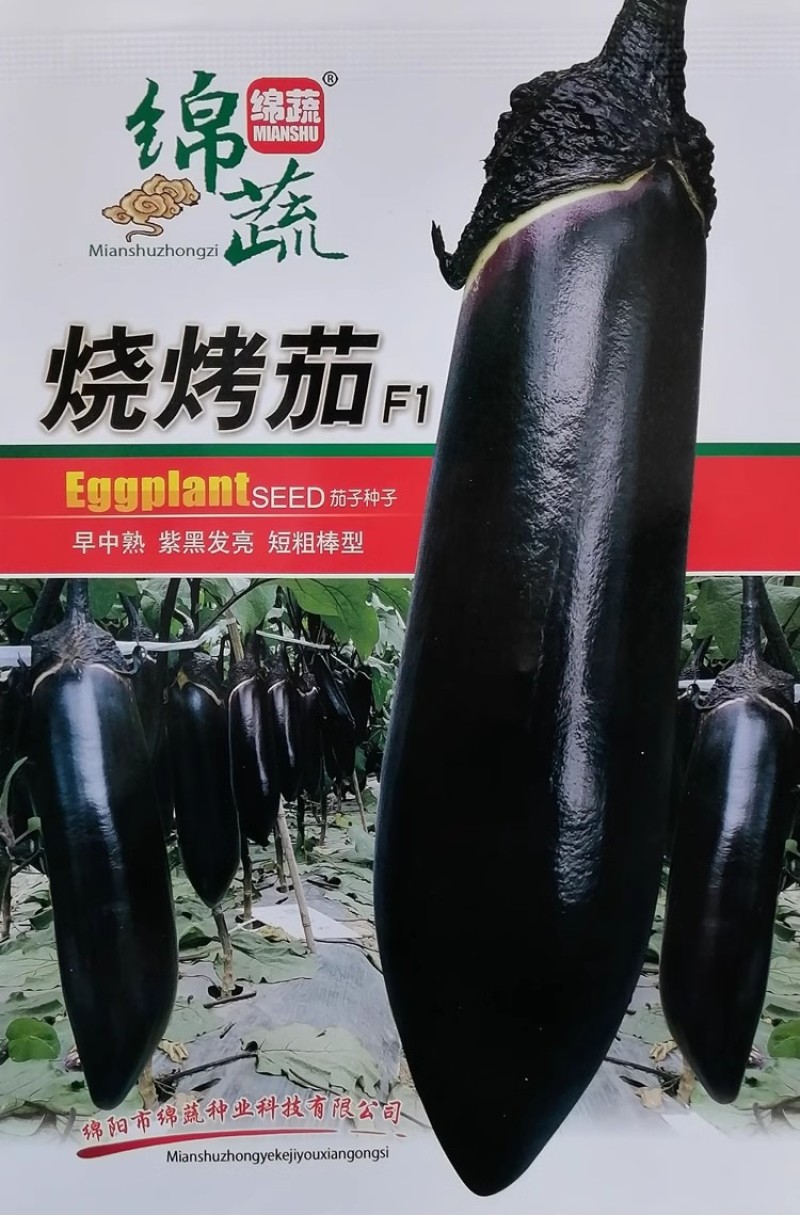 烧烤茄种子一代杂交早中熟紫黑发亮短粗棒型